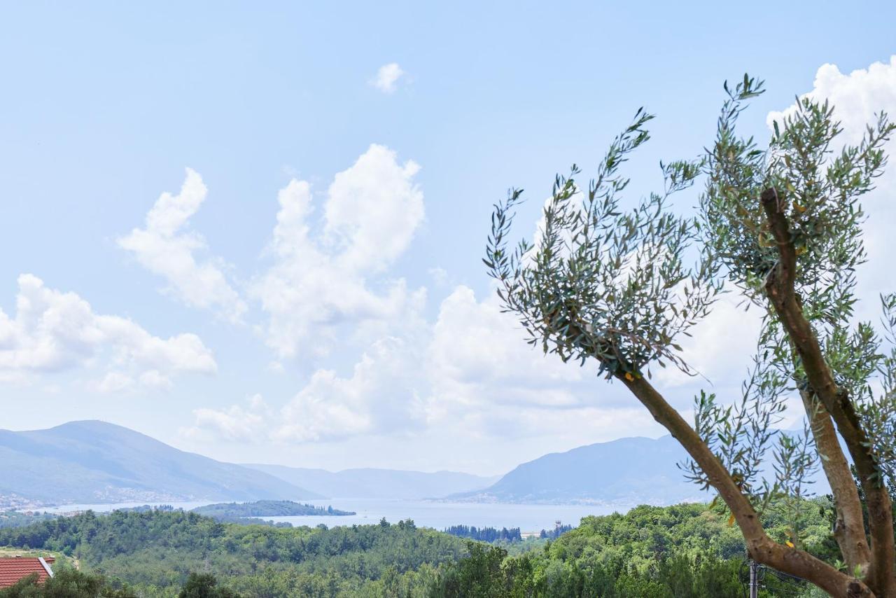 Kotor Rooftop Apartments المظهر الخارجي الصورة